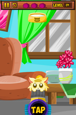 Kitten Bounce